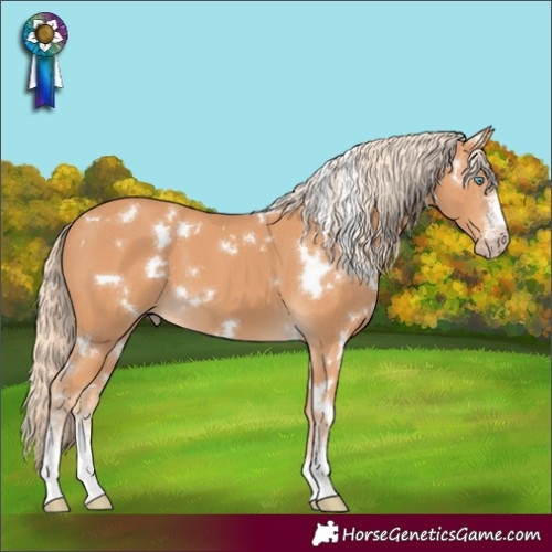 Horse Color:Gray White Spotted Cremello Sabino 