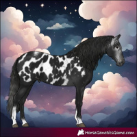 Horse Color:Gray Smoky Black Tobiano Blanket 