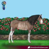 Horse Color:Brown Dun Sabino Rabicano