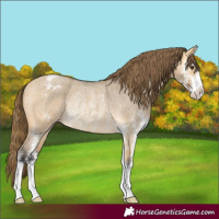 Horse Color:Buckskin Roan Dun Sabino Varnish Rabicano 