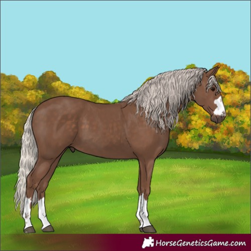 Horse Color:Silver Black 