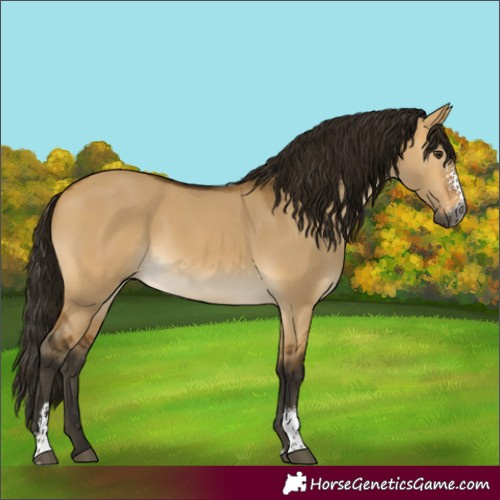 Horse Color:Gray Buckskin Dun Sabino 