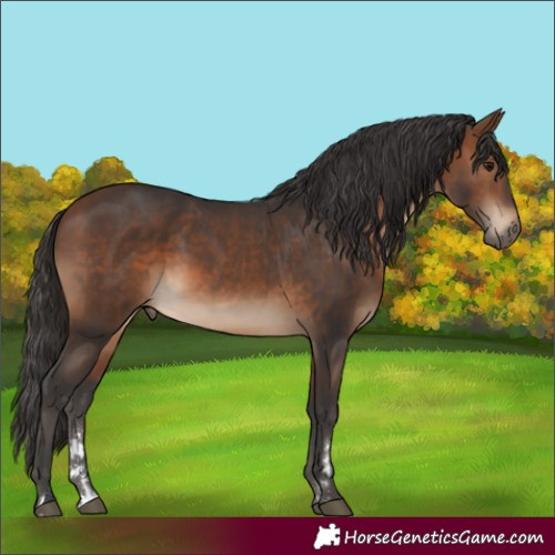 Horse Color:Brown 