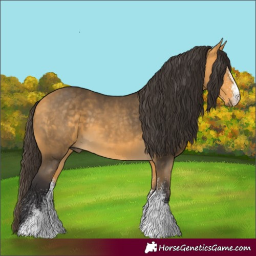 Horse Color:White Spotted Buckskin 