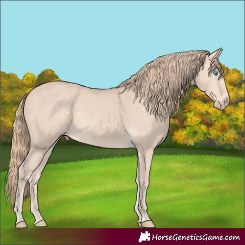 Horse Color:Perlino 