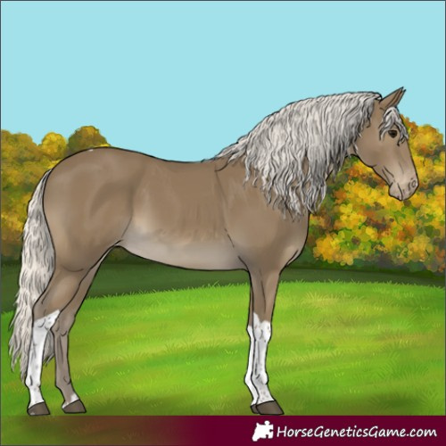 Horse Color:Silver Smoky Black Tobiano Appaloosa