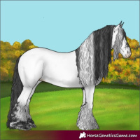 Horse Color:White Spotted Black Fewspot