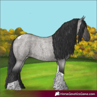 Horse Color:Grullo Roan Tobiano 