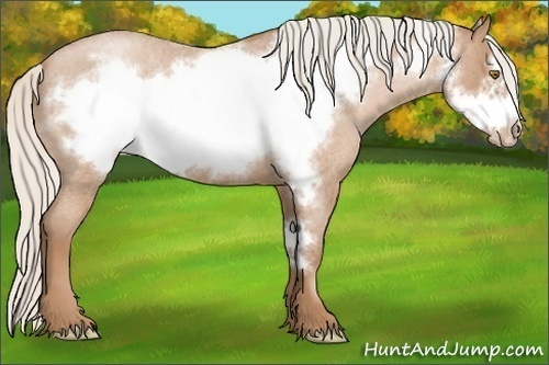 Horse Color:Silver Bay Roan Pearl Frame 