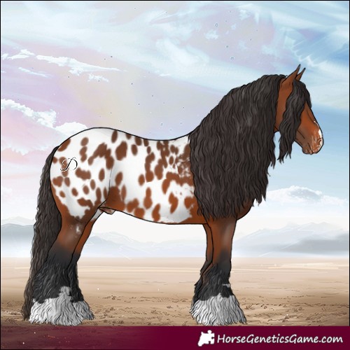Horse Color:Bay Near Leopard