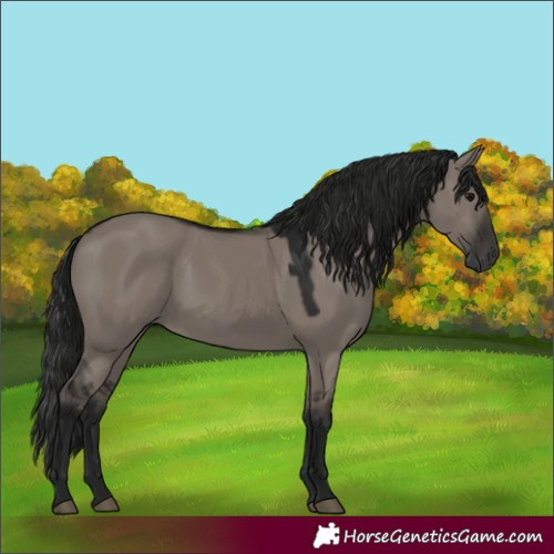Horse Color:Gray Grullo 