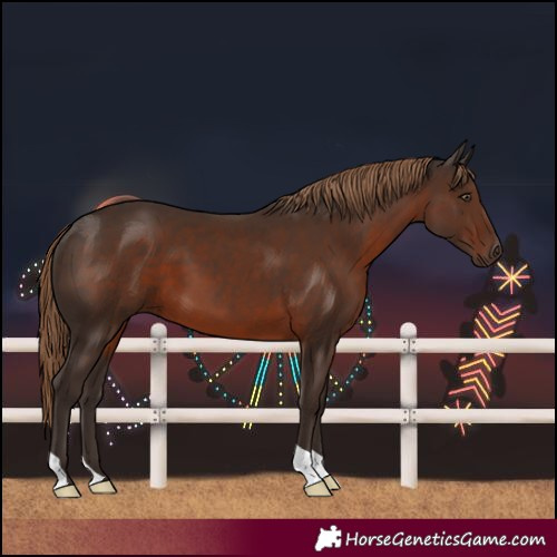 Horse Color:Liver Chestnut