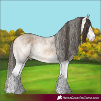Horse Color:White Spotted Buckskin 