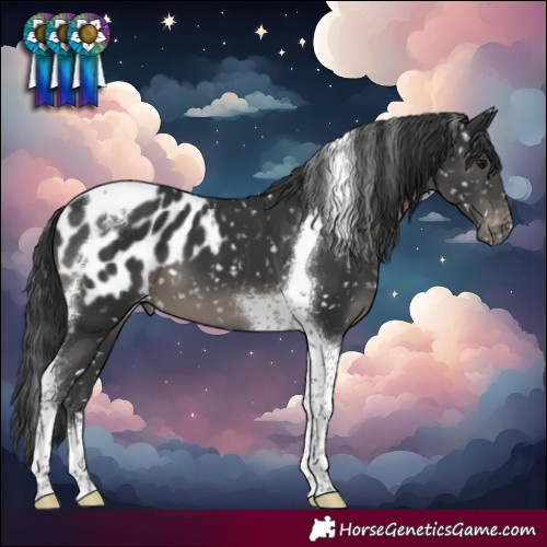 Horse Color:Black Tobiano Blanket