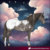 Horse Color:Smoky Grullo Tobiano Near Fewspot