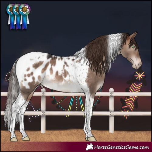 Horse Color:Brown Dun Mushroom Tobiano Near Leopard