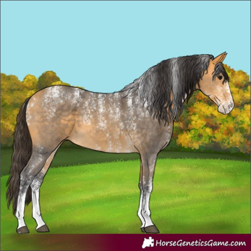 Horse Color:Powder White Buckskin Sabino 