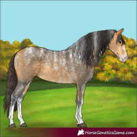 Horse Color:Powder White Buckskin Sabino
