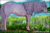 Horse Color:Watercolor Chestnut 