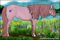 Horse Color:Watercolor Red Dun 