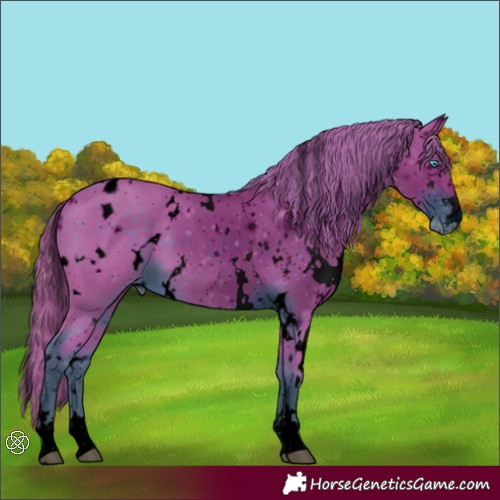Horse Color:ERROR: UNKNOWN ANOMALY