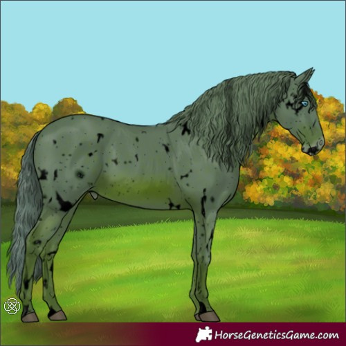 Horse Color:ERROR: UNKNOWN ANOMALY
