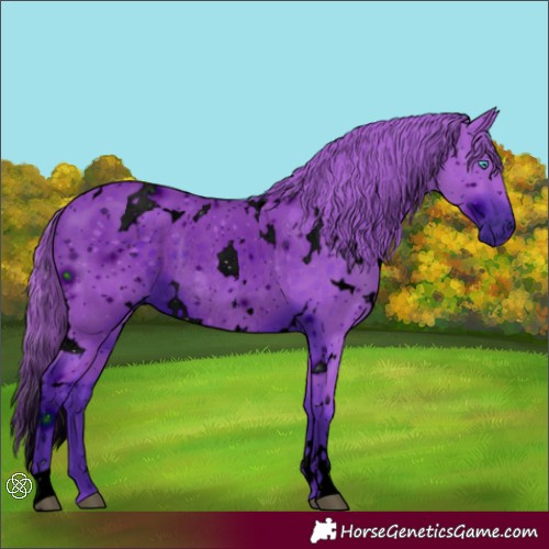 Horse Color:ERROR: UNKNOWN ANOMALY