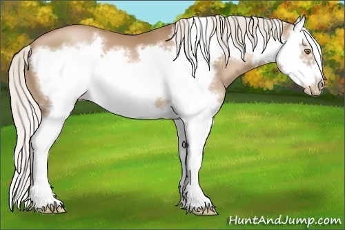 Horse Color:Silver Brown Pearl Splash Frame 