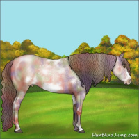 Horse Color:Nacre White Spotted Liver Chestnut Pearl Frame 