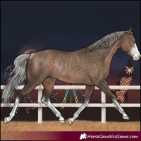 Horse Color:White Spotted Silver Brown Dun Rabicano 