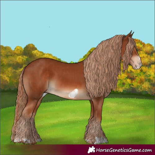 Horse Color:Chestnut and Chestnut Frame