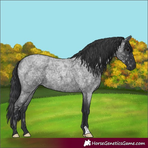 Horse Color:Blue Ice Roan 