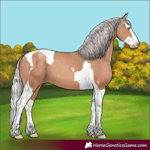 Horse Color:Silver Sable Champagne Splash Tobiano