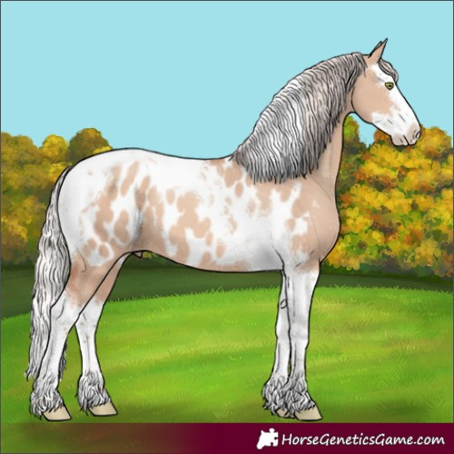 Horse Color:Silver Sable Champagne Dun Splash Tobiano Blanket 
