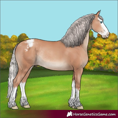 Horse Color:Silver Classic Champagne Sabino Splash Varnish Rabicano 