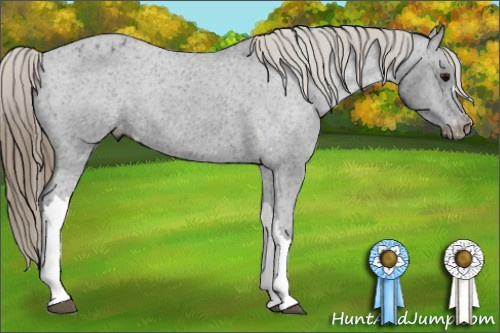 Horse Color:Smoky Black Varnish Rabicano
