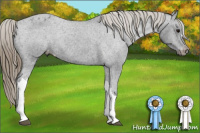 Horse Color:Smoky Black Varnish Rabicano