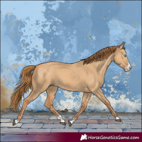Horse Color:Red Dun Splash 