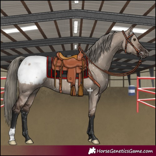 Horse Color:Liver Red Dun Mushroom Snowcap 