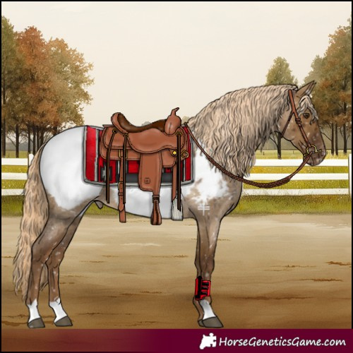Horse Color:Chocolate Palomino Roan Dun Snowcap Brindle 