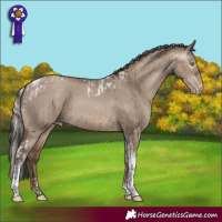 Horse Color:Gray Silver Brown Pearl Dun Tobiano Rabicano  and Sable Champagne Dun Tobiano Rabicano 