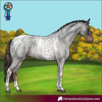 Horse Color:Gray Liver Red Roan Sabino Rabicano  and Liver Red Roan Tobiano 