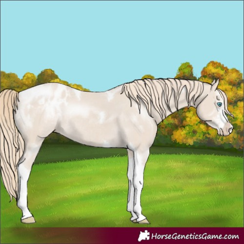 Horse Color:Smoky Creme Sabino Tobiano Varnish Rabicano