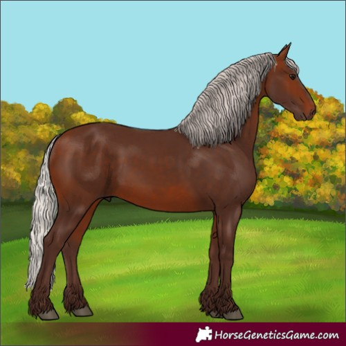 Horse Color:Silver Bay