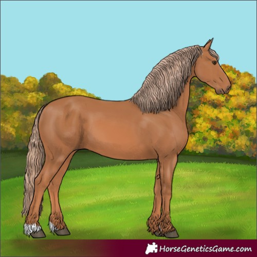 Horse Color:Chestnut 