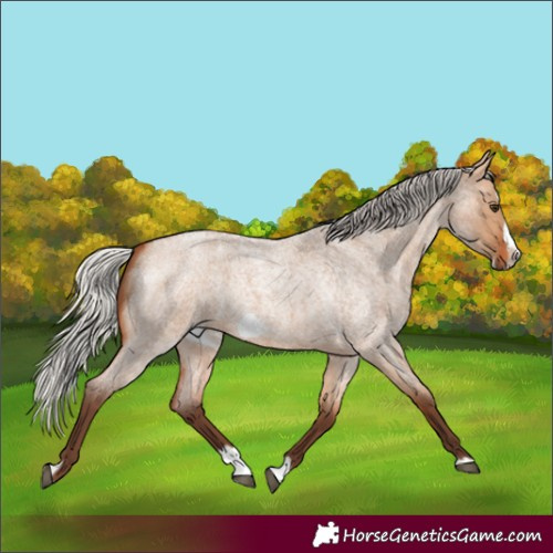 Horse Color:Silver Bay Roan Dun Splash Frame