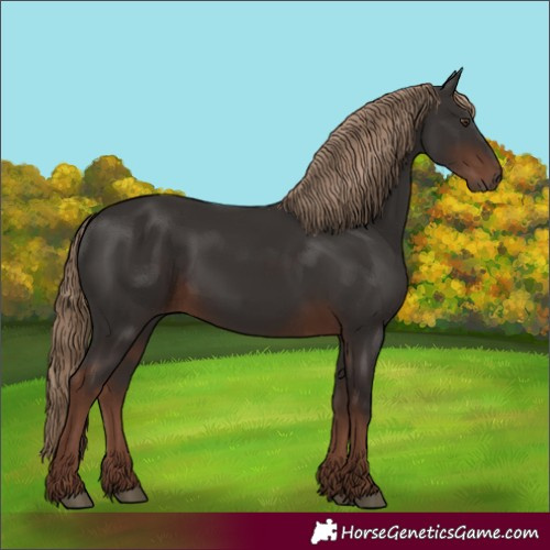 Horse Color:Liver Chestnut