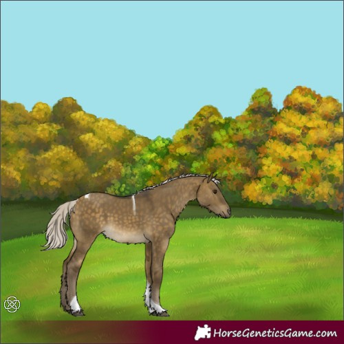 Horse Color:Silver Buckskin Dun Tobiano 