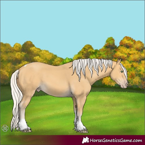 Horse Color:Silver Amber Cream Champagne Tobiano 