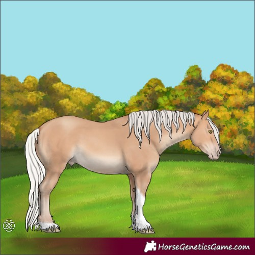 Horse Color:Silver Amber Champagne Tobiano 